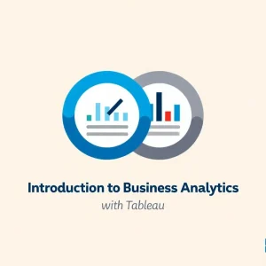Introduction to Business Analytics with Tableau