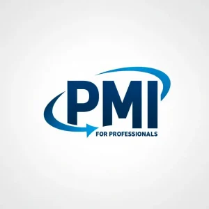 PMI for Professionals