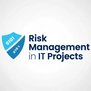 Risk Management in IT Projects