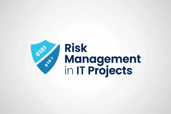 Risk Management in IT Projects