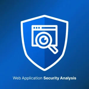 Web Application Security Analysis